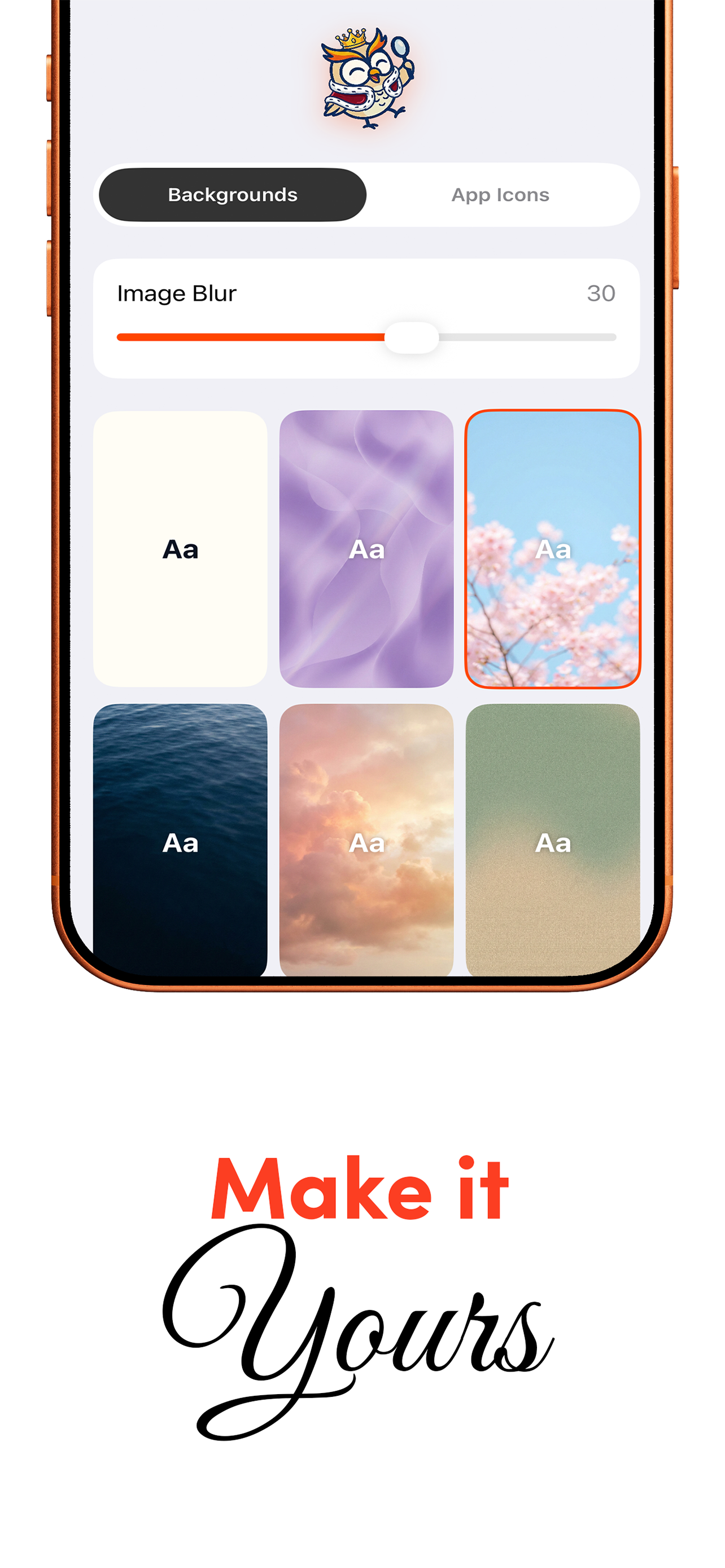 Background and icon customization